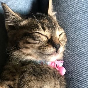 Meet your Posher, Caitlin